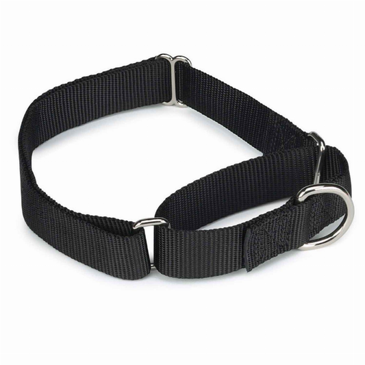 GG Nylon Martingale Collar 18-26In Blk