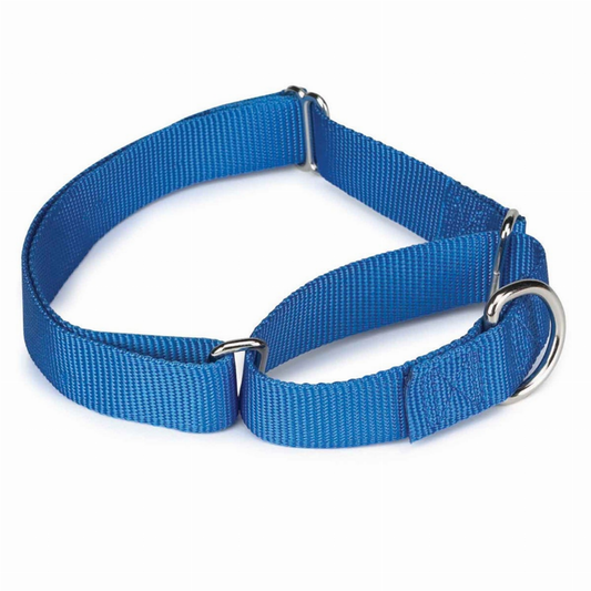 GG Nylon Martingale Collar 10-16In Blu