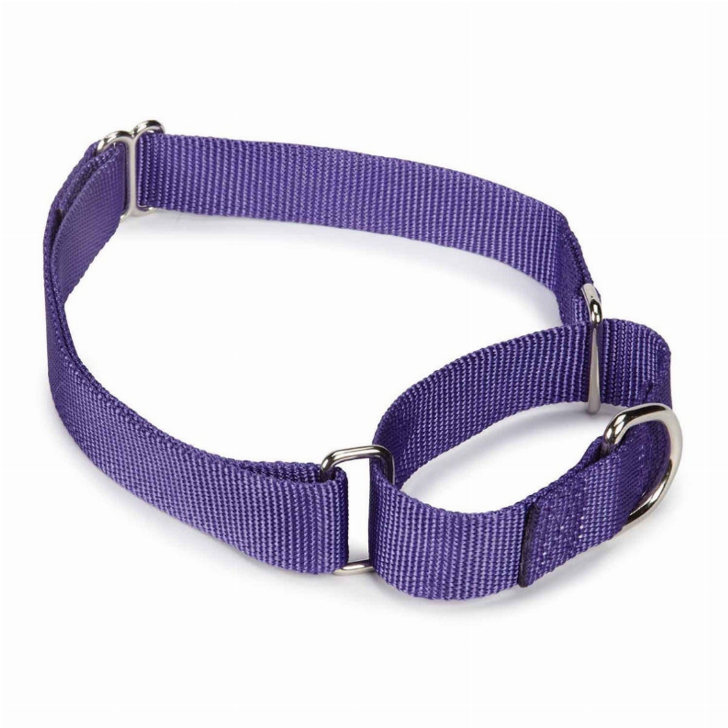 GG Nylon Martingale Collar 18-26In Pur