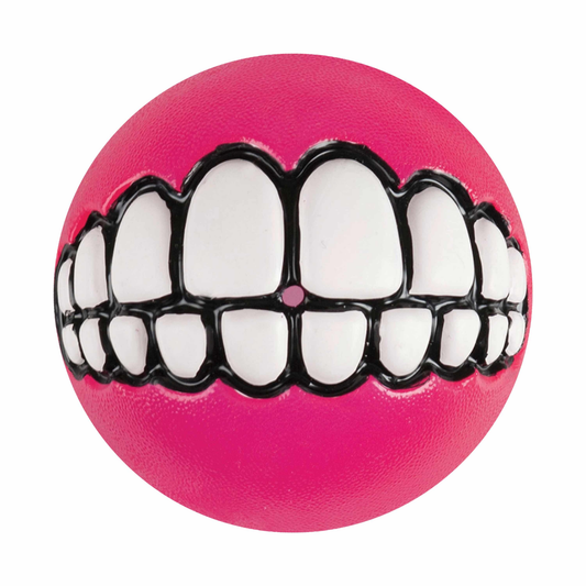 KONG(R) Grinz by ROGZ(R) Dog Fetch Toy Assorted
