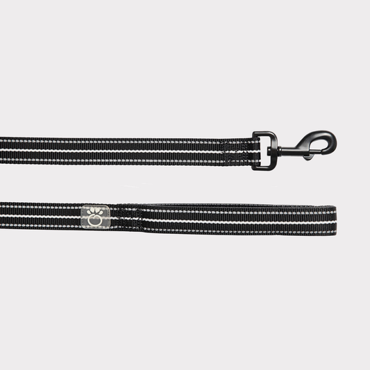 GF Pet Reflective Leash