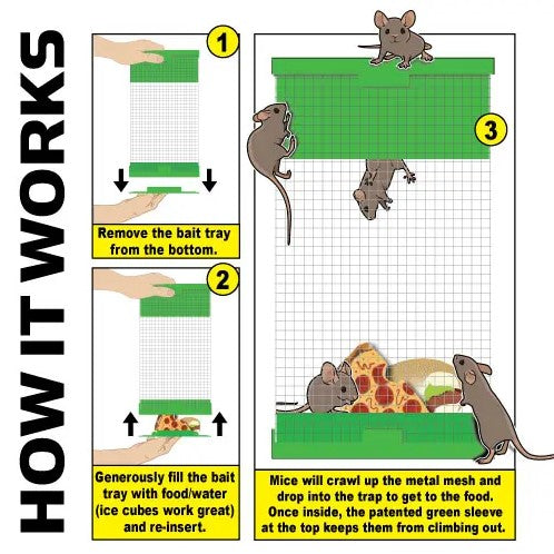 Billy Bob Mouse Trap: Humane Multi-Catch Mouse Trap! - billy-bob-mouse-trap-humane-multi-catch-mouse-trap