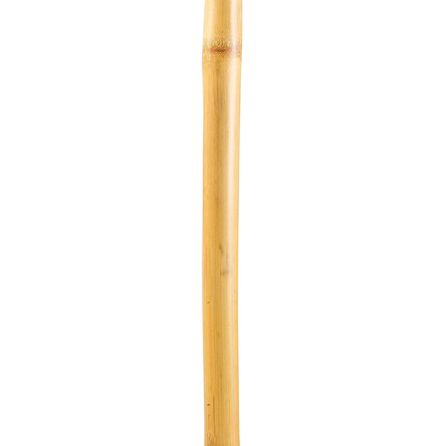 Walking Stick Brazos Free Form Wood 48 Inch Height Bamboo
