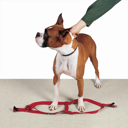 CC Nylon 2 Step Harness 9-15In Red