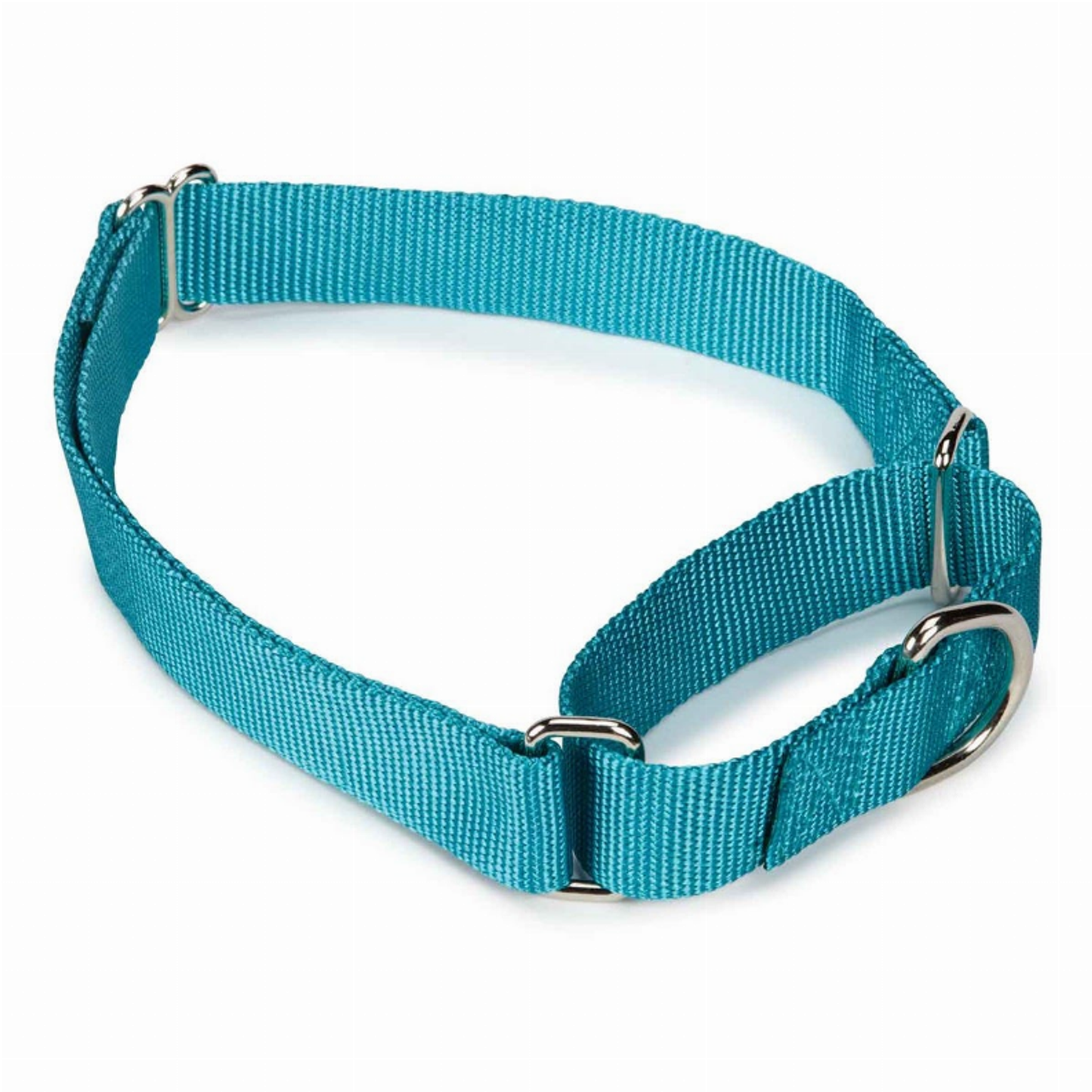 GG Nylon Martingale Collar 10-16In LtB