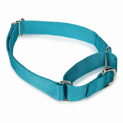 GG Nylon Martingale Collar 10-16In LtB