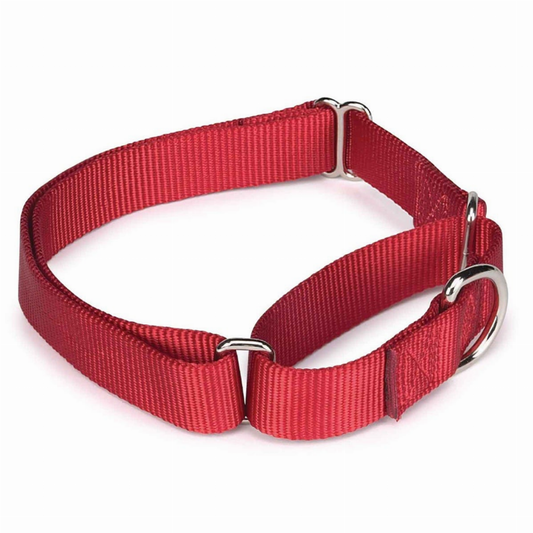 GG Nylon Martingale Collar 14-20In Red