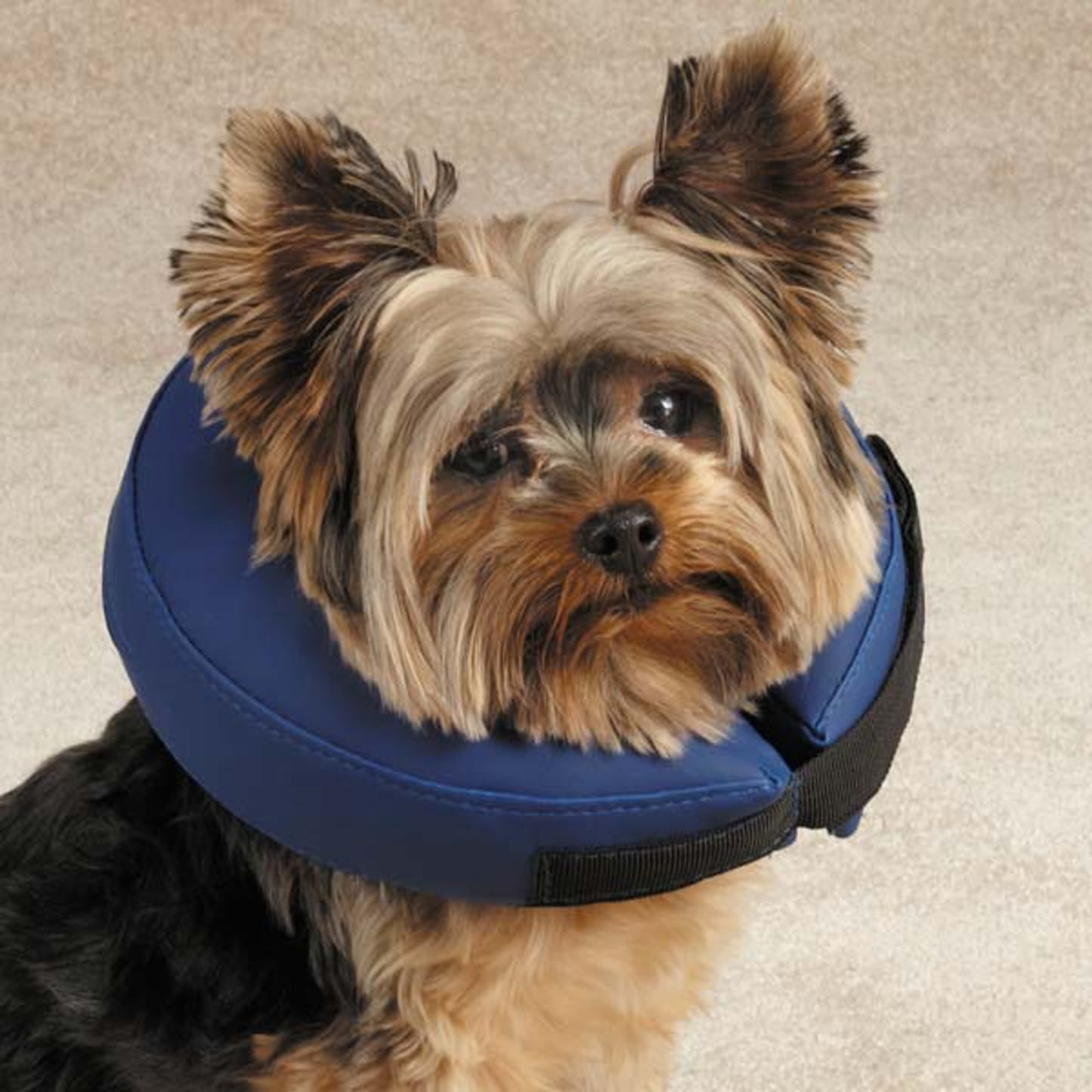 TH Inflatable Collar M Blu