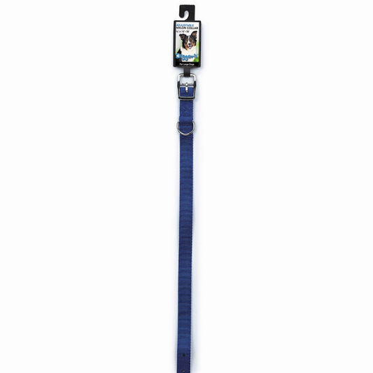 DGR 3/4in Nylon Collar 20in Blue