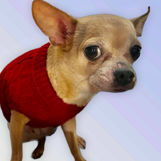 Knit Turtleneck Dog Sweater