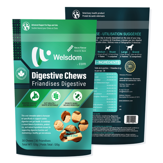 Digestive Chews - 30 Chews