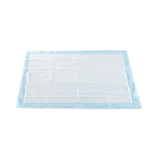Disposable Underpad McKesson 23 X 36 Inch Polymer Moderate Absorbency, Packaging Type- Case