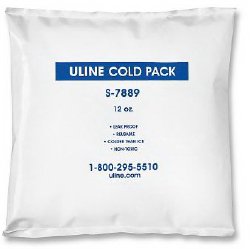 Refrigerant Gel Pack For Safe Transport of Temperature-sensitive Items, Packaging Type- Case