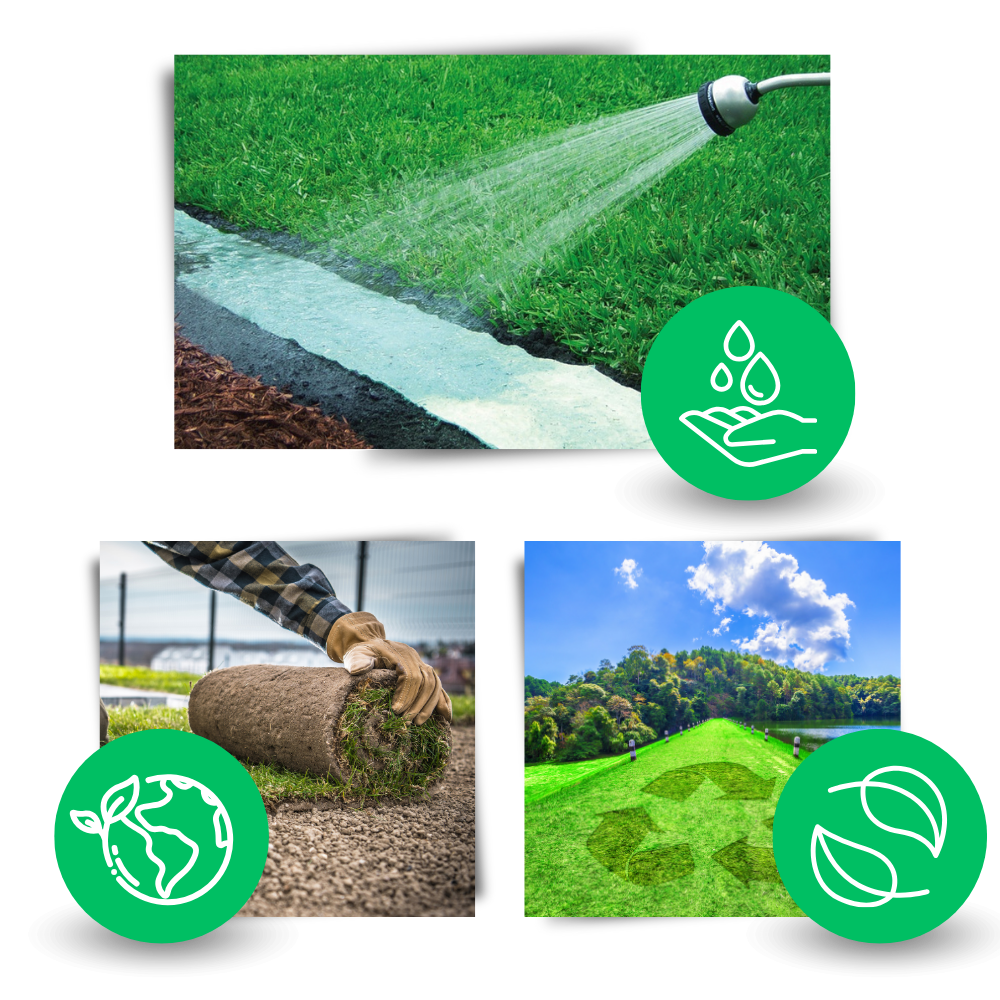 EverPatch™ Quick Fix Grass Seed Mat - Grow Lush Green Lawns Fast