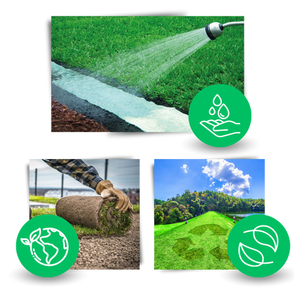 EverPatch™ Quick Fix Grass Seed Mat - Grow Lush Green Lawns Fast
