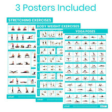 Load image into Gallery viewer, No Equipment Required Poster 3-Pack