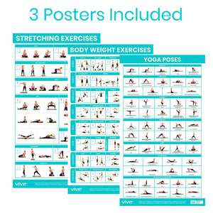 No Equipment Required Poster 3-Pack