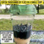Fly Lid Combo- Indoor Outdoor Eco Friendly Fly Control Pack – Includes (6) Fly-Lids for Disposable Cups and (2) 5 Gallon Bucket Fly-Condo™ Lids. - fly-lid-combo-indoor-outdoor-eco-friendly-fly-control-pack-includes-6-fly-lids-for-disposable-cups-and-2-5-gallon-bucket-fly-condo™-lids